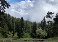 Грузия, Поход по нацпарку Боржоми с проживанием в отелях