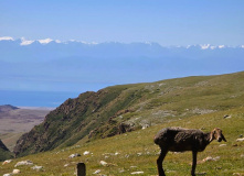 Киргизия, Кыргызская Рапсодия: гармония активности, комфорта и эмоций