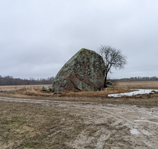 Северо-Запад, Кургальский полуостров