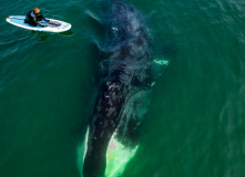 Дальний Восток, Шантарские острова: в поисках мечты (разведка)