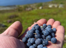 Карелия, Архипелаг Кузова и Кемские шхеры. По Белому морю на морских каяках