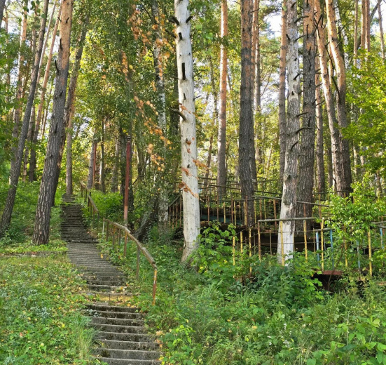 Подмосковье, Велопоход «Берегами Оки до Тарусы»