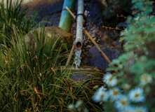 Япония, Каникулы в Японии для детей и взрослых