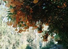 Испания, Пешком из Португалии в Испанию: Камино де Сантьяго