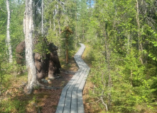 Кольский, Русская Лапландия: Тропа викинга и Лапландский заповедник (разведка)