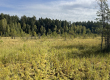 Подмосковье, К НЛО через Голубое озеро