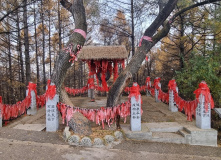 Китай, Китай и острова Владивостока (разведка)