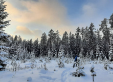 Северо-Запад, Зимние приключения на Красном Озере. Биатлон и лесная прогулка к старинным погребам