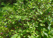 Урал, Национальный парк Таганай: треккинг налегке, без рюкзаков