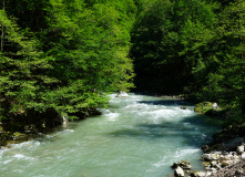 Кавказ, Сплав по реке Пшеха [Кавказ]