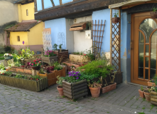 Франция, Винная дорога Эльзаса (разведка)