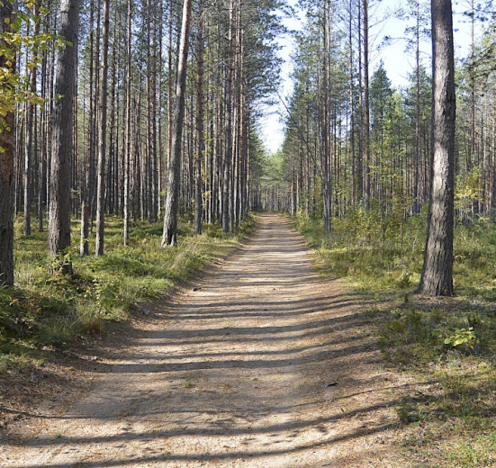 Карельский перешеек, Велопоход в Выборг: тайными тропами