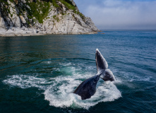 Дальний Восток, Шантарские острова: в поисках мечты (разведка)