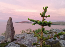 Карелия, Архипелаг Кузова и Кемские шхеры. По Белому морю на морских каяках