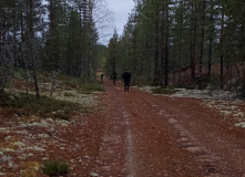 Северо-Запад, Карельская сотка. Полный Пизанец