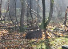 Северная Осетия (Алания), Три дня в Алании: горная Дигория
