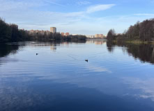 Подмосковье, Через усадьбу Гребнево, на ферму в Мишнево и ГЭС. С теплой ночевкой