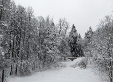 Подмосковье, Однодневный поход «English club в усадьбе Середниково»