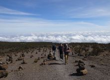 Танзания, Восхождение на Килиманджаро. Маршрут Ронгаи