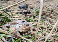 Подмосковье, Пеший поход "В глубь веков"