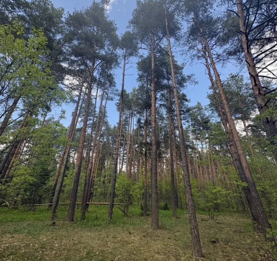 Подмосковье, Однодневный поход «На свежий воздух»