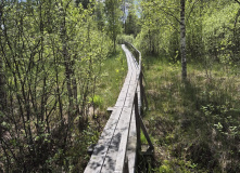 Северо-Запад, Царство болот: красоты Полистовского заповедника (разведка)