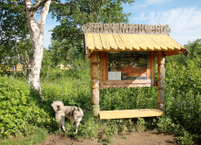 Камчатка, Камчатские каникулы: семейный поход в долину Налычево