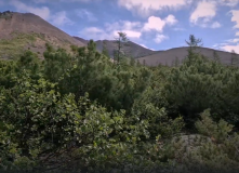 Дальний Восток, Горы и реки Магадана: сплав по рекам Сеймкан и Яна