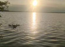 Подмосковье, Однодневный семейный поход " Юные Спецагенты. Школа шпионажа"