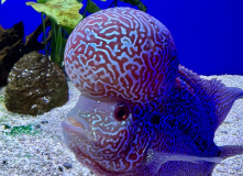 Китай, Живописная палитра Китая: из глубинки провинции к золотым пляжам (разведка)