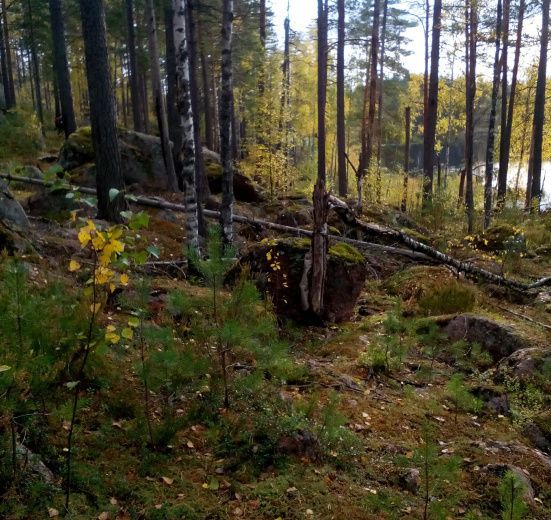 Поход по Градуевским озерам (с трансфером)