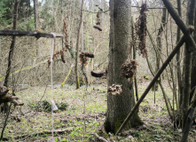 Подмосковье, Пеший поход "В глубь веков"