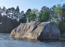 Сплав по реке Дымовка (с трансфером)