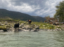 Казахстан, Казахстанский Алтай: мультитур по рекам Берель и Бахтарма