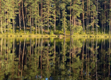 Беларусь, На перепутье затерянных дорог: велопоход по Беларуси