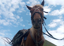 Кавказ, Магишо, дети, кони: по затерянным местам Кавказа