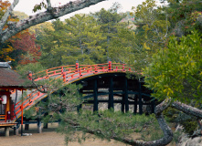 Япония, К пальмам и горячим пескам (разведка)