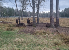 Беларусь, Страна замков: Беларусь на неделю