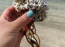 Териберка, Вместе с северным ветром: в Териберку с детьми