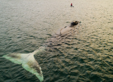 Дальний Восток, Шантарские острова: в поисках мечты (разведка)