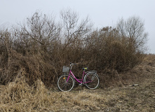 Подмосковье, Родина Маршала Жукова и озеро Огублянка
