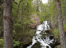 Карелия, У самого Полярного Круга: в нацпарк Паанаярви с детьми