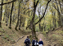 ноябрь в Пятигорске