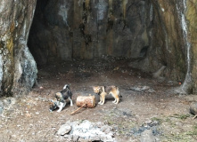 Северо-Запад, Таинственный Выборг: путешествие к гротам.