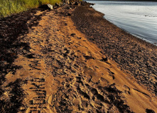 Карелия, На байдарках: Кереть и Белое море