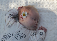 Северо-Запад, Мамино Лето: наедине с природой и малышом