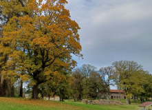 Северо-Запад, Золото осенних дорог: велотур в Пушкинские горы