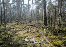 Подмосковье, В глубь веков