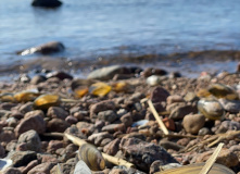 Северо-Запад, Форт "Риф" — Балтийская коса Финского залива (Кронштадт)