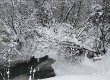 Подмосковье, Однодневный поход «English club в усадьбе Середниково»